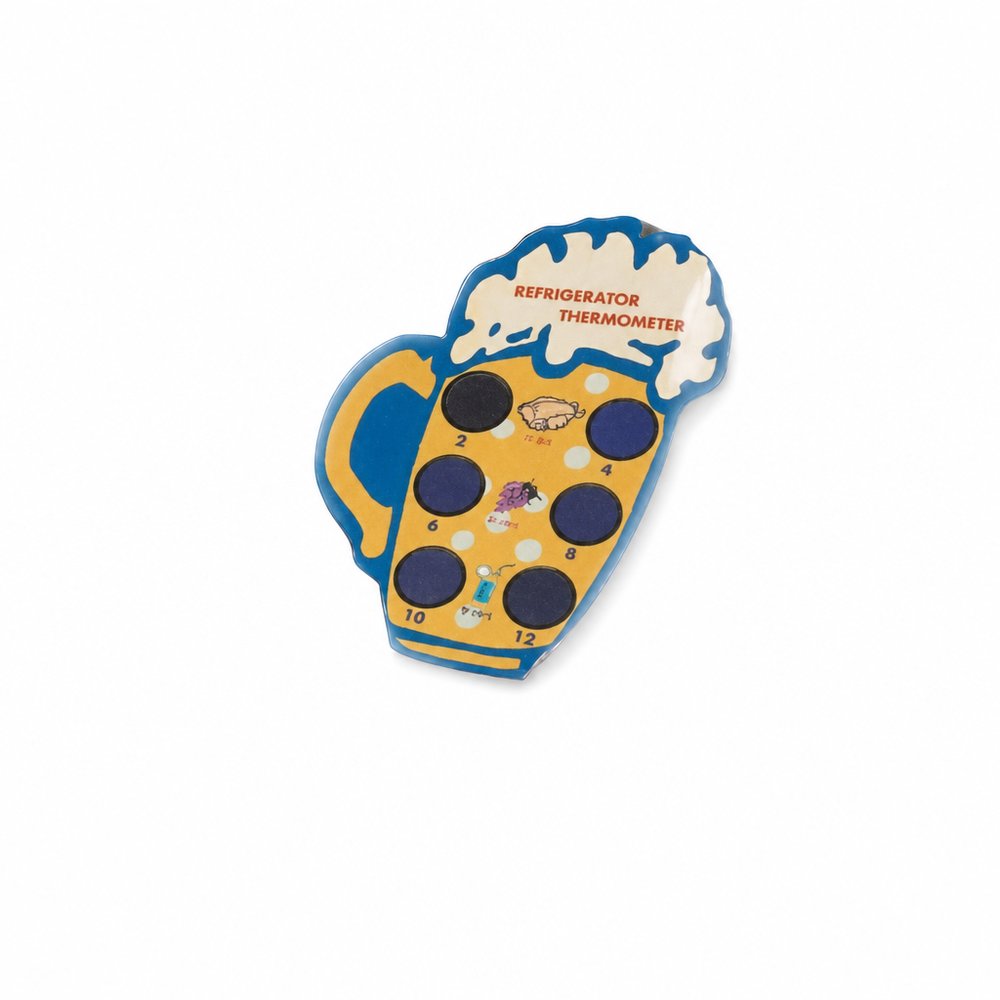Fridge thermometer