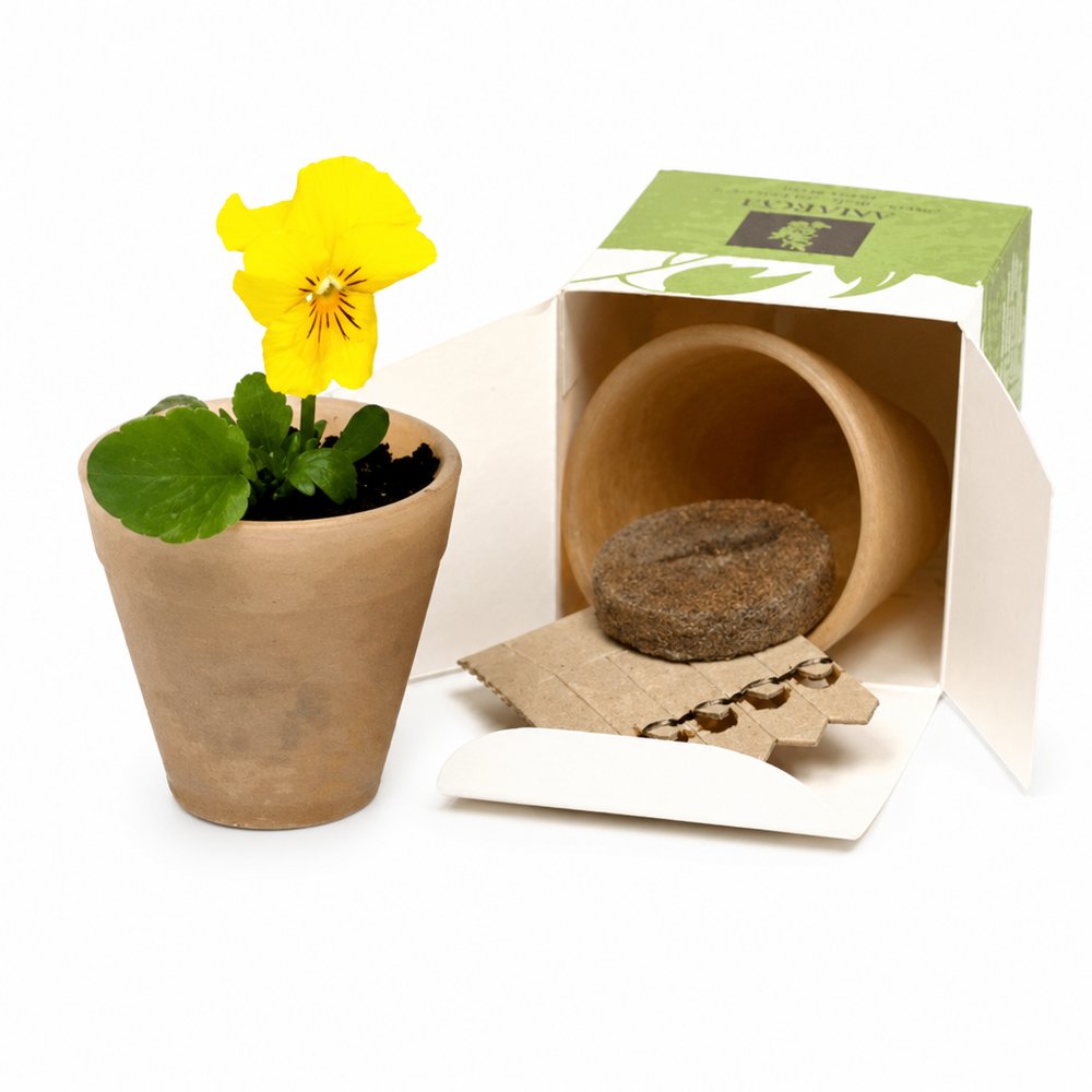 Cornstarch Seed Pots in Custom Gift Box