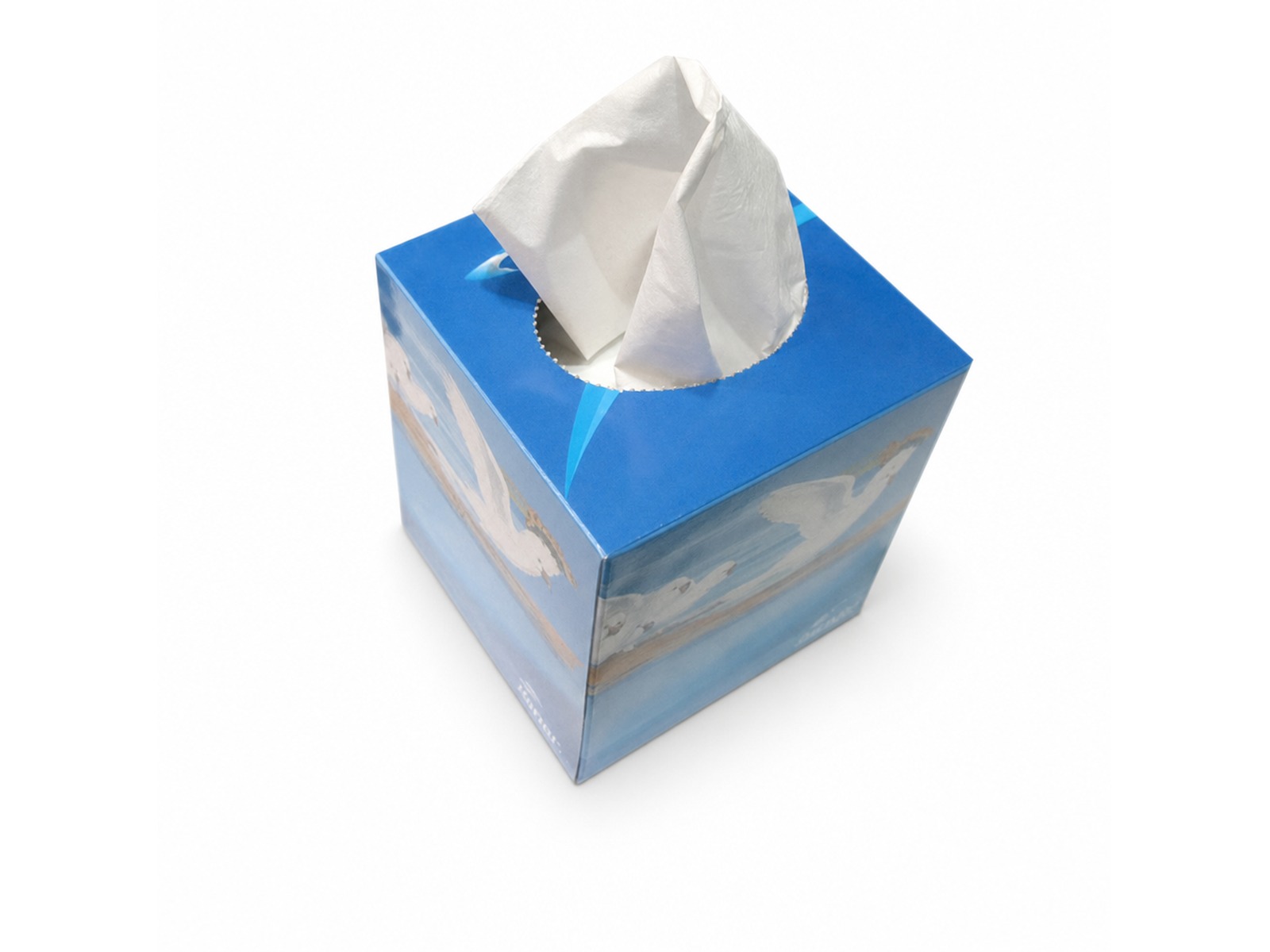 Square Recycled Tissue Boxes